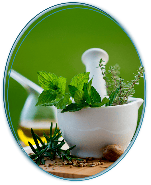 Ayurvedic Treatment for Paralysis Disease