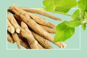 Aswagandha ayurvedic herb